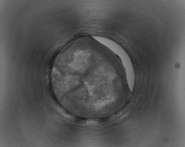 X0000091980462200710041113