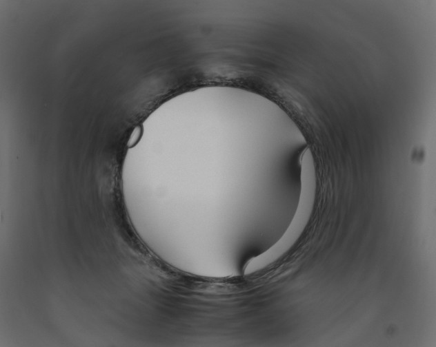 X0000091980463200710041113