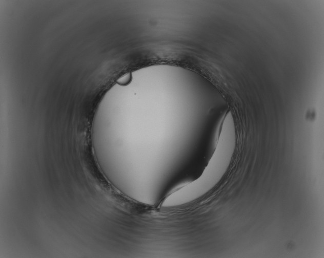 X0000091980464200710041113