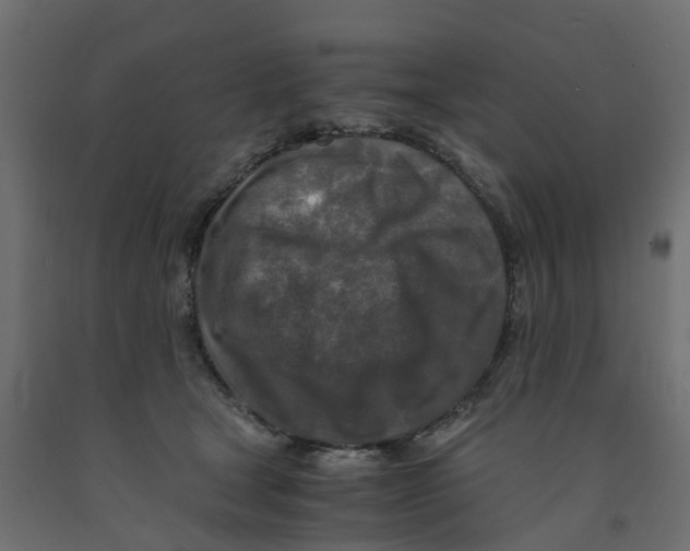 X0000091980465200710041113