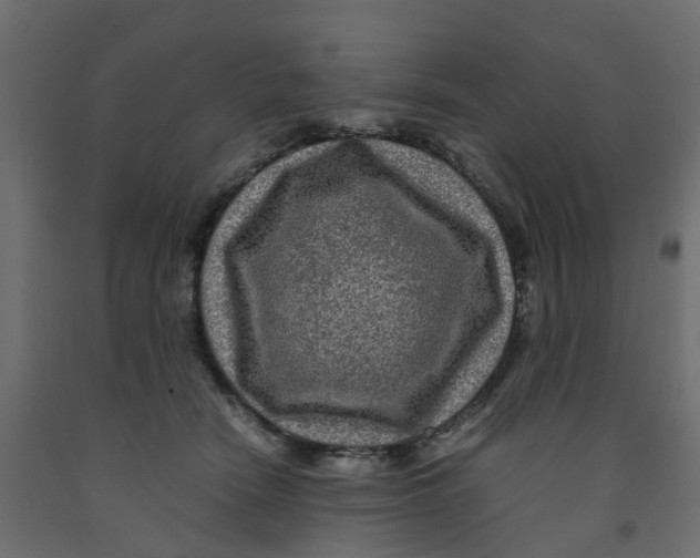 X0000091980466200710041113