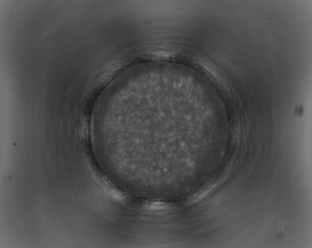 X0000091980467200710041113