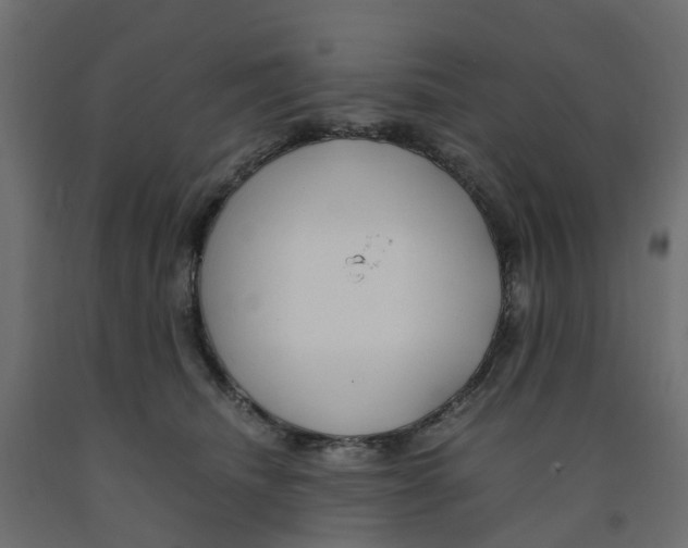 X0000091980468200710041113