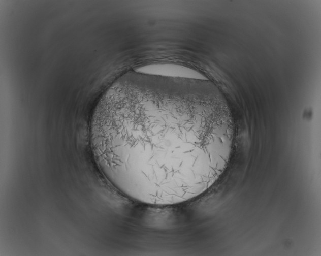 X0000091980469200710041113