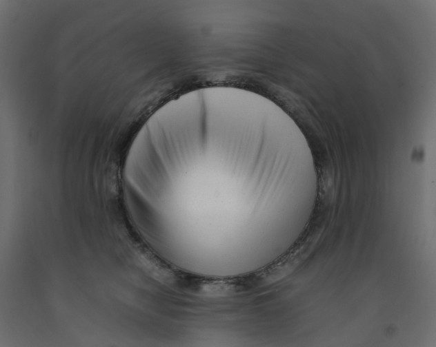 X0000091980470200710041113