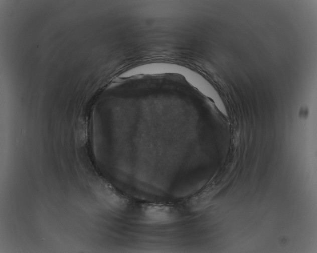 X0000091980471200710041113