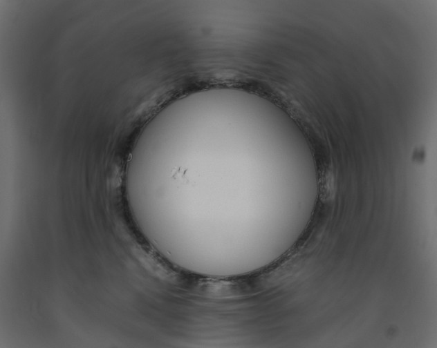 X0000091980472200710041113