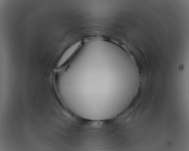 X0000091980474200710041113