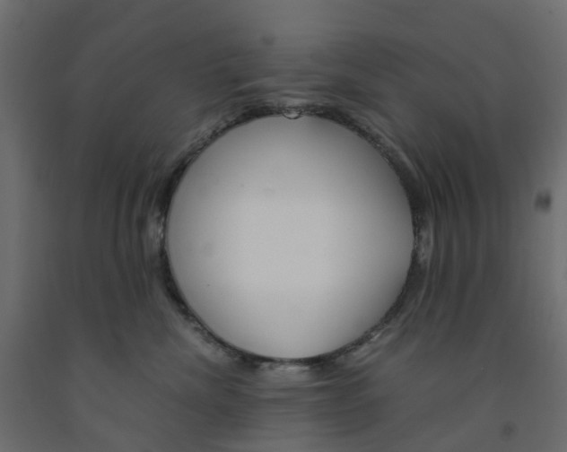 X0000091980476200710041113