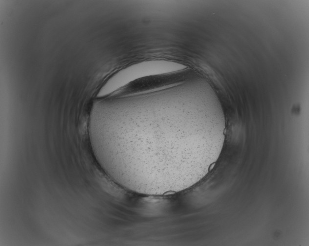 X0000091980477200710041113