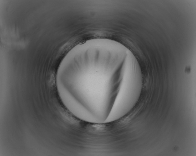 X0000091980478200710041113