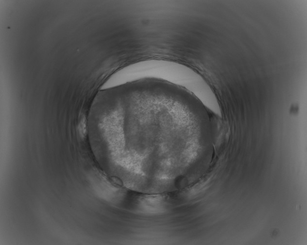 X0000091980479200710041113