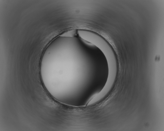 X0000091980481200710041112
