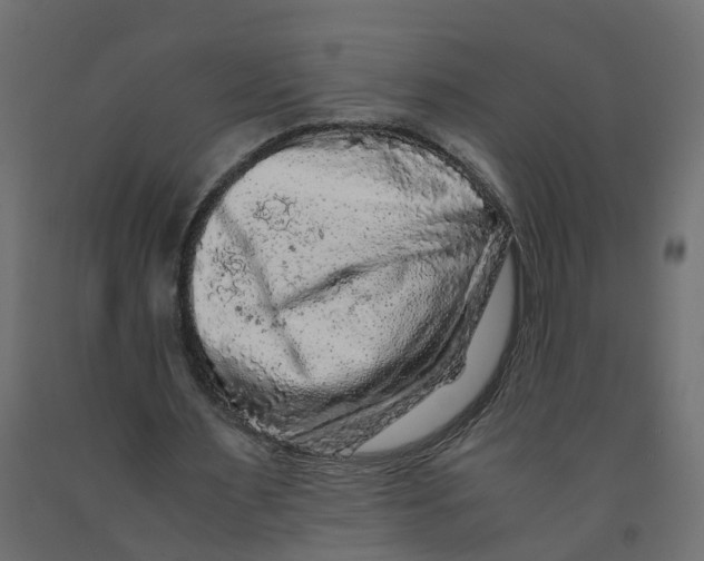X0000091980483200710041112