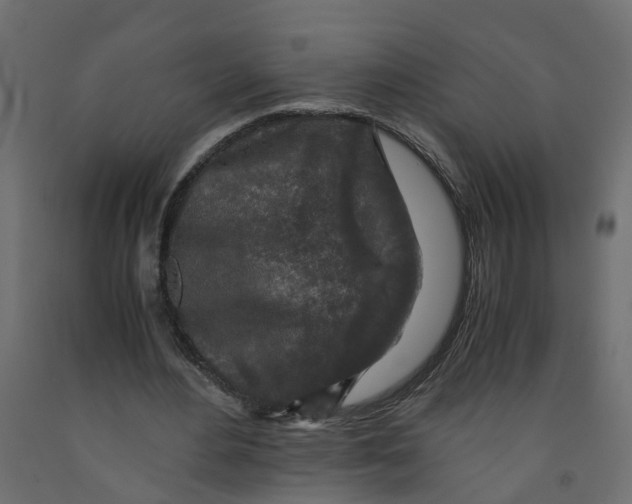 X0000091980484200710041112