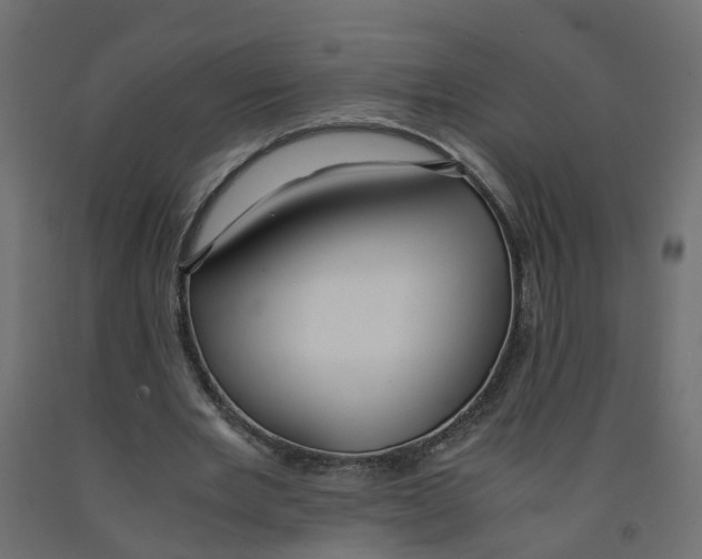X0000091980485200710041112