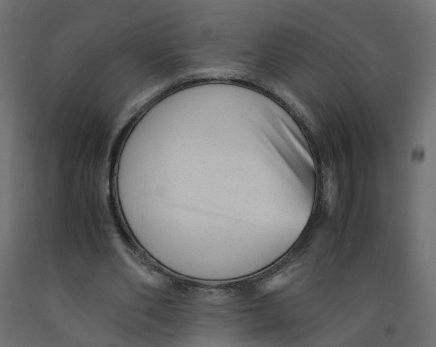 X0000091980486200710041112