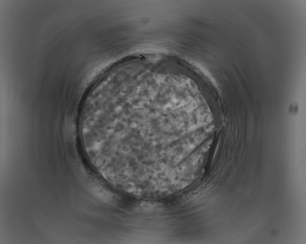X0000091980487200710041112