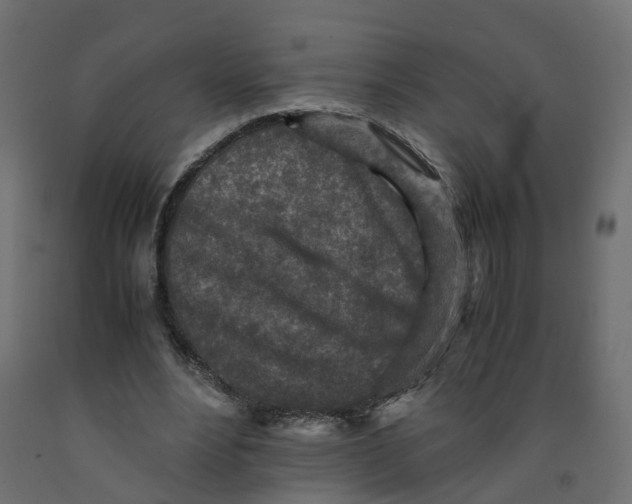 X0000091980488200710041112