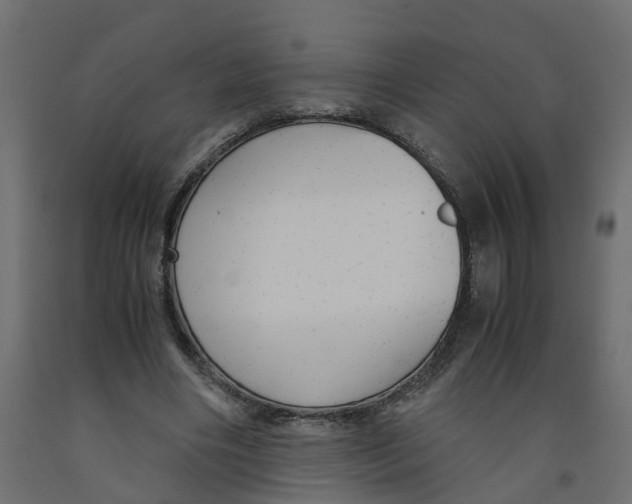X0000091980490200710041112