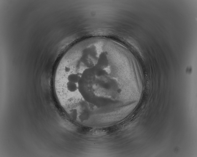 X0000091980491200710041112