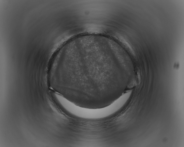 X0000091980492200710041112