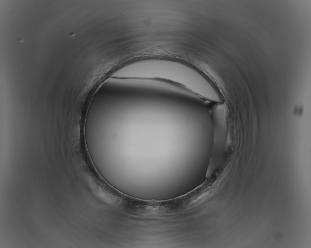 X0000091980493200710041112