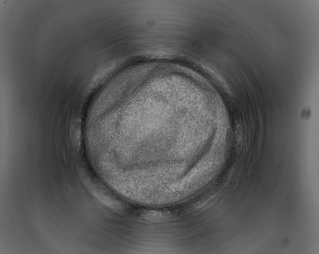 X0000091980494200710041112