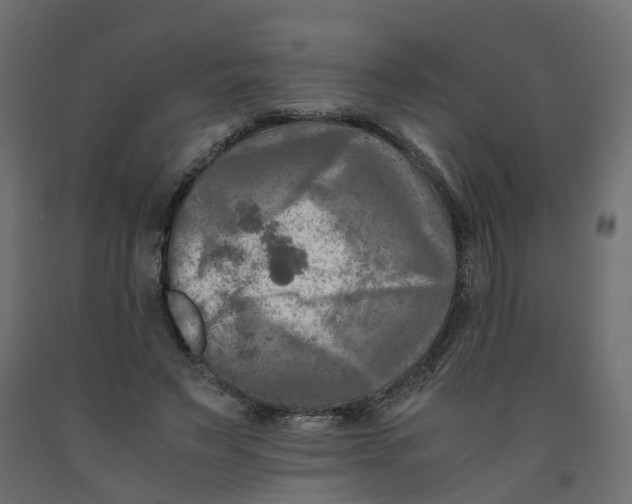 X0000091980495200710041112
