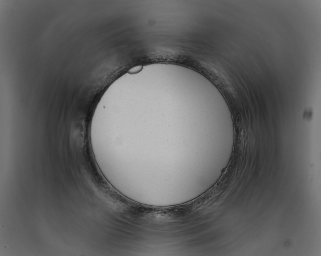 X0000091980498200710041112