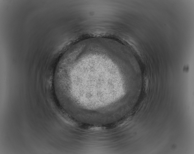 X0000091980499200710041112