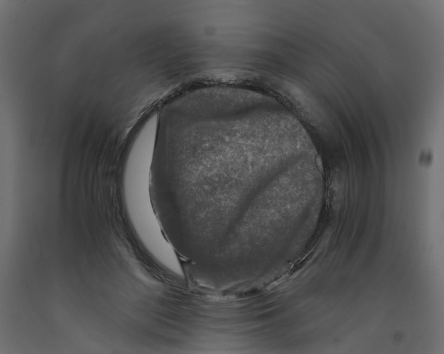 X0000091980500200710041112