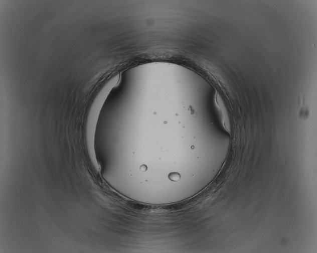 X0000091980501200710041112