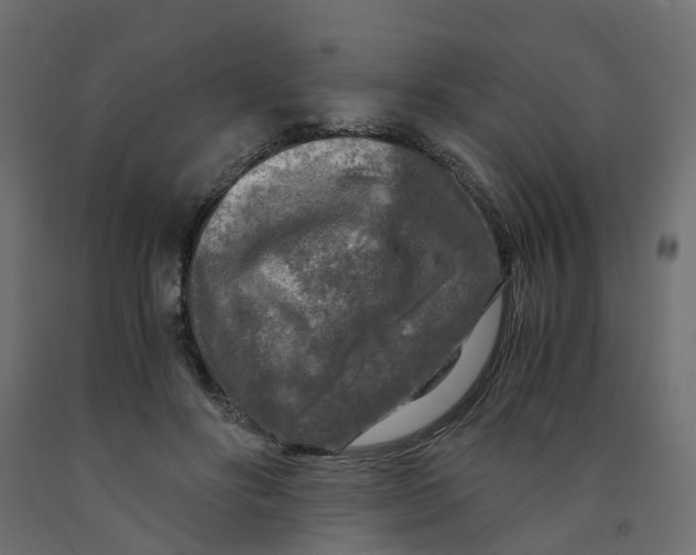 X0000091980502200710041112