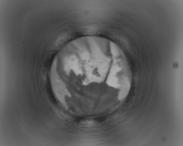 X0000091980503200710041112