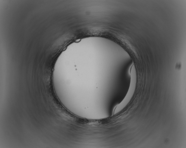 X0000091980505200710041112