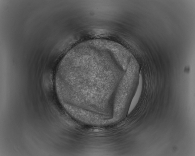 X0000091980506200710041112