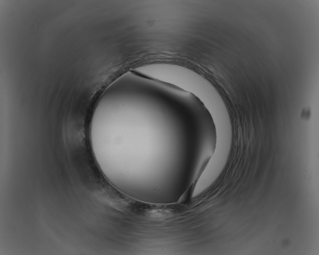 X0000091980508200710041112