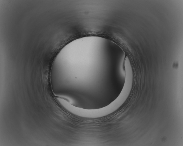 X0000091980509200710041112