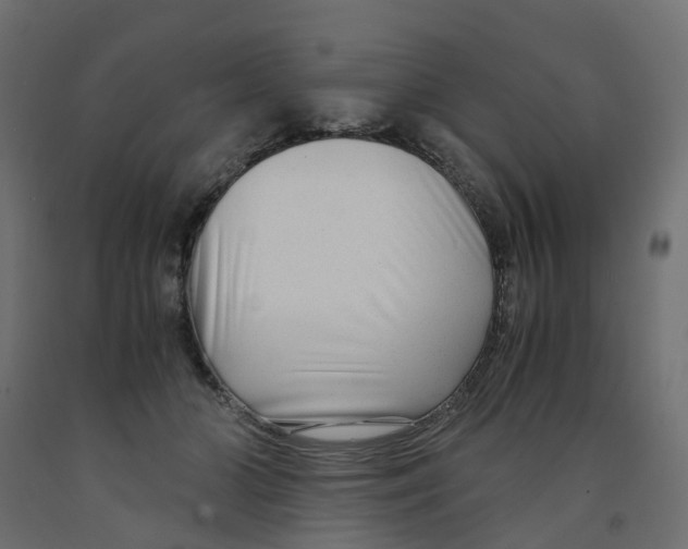 X0000091980510200710041112