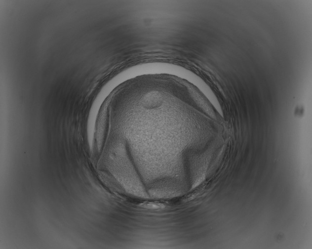 X0000091980512200710041112