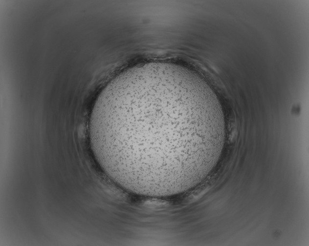 X0000091980515200710041112