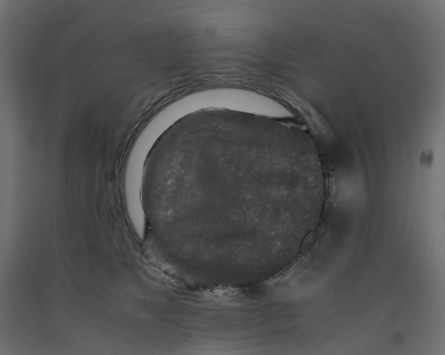 X0000091980517200710041112
