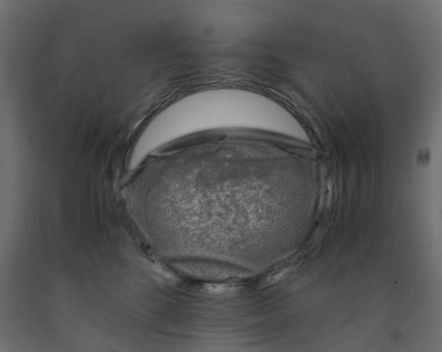 X0000091980520200710041112