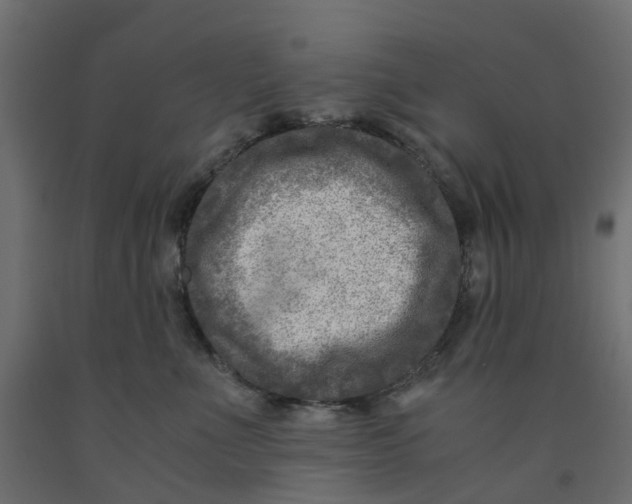 X0000091980523200710041112