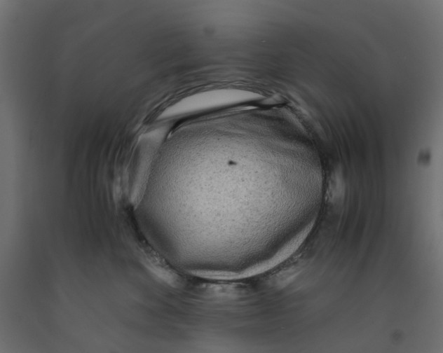 X0000091980524200710041112