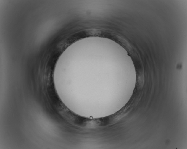 X0000091980525200710041112