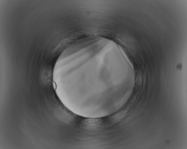 X0000091980526200710041112