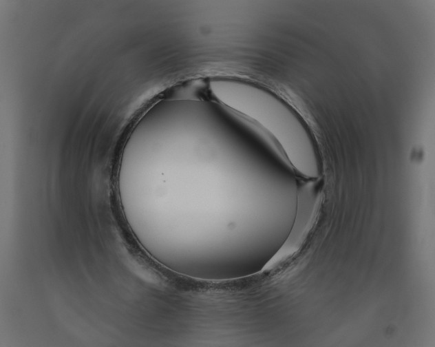 X0000091980530200710041111