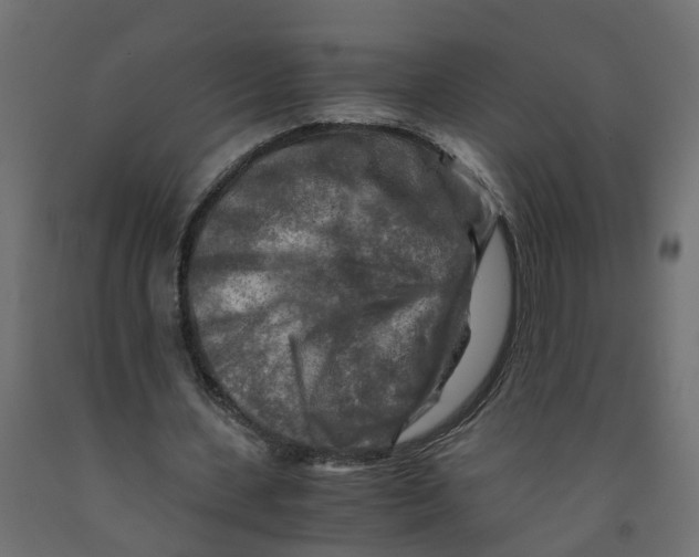 X0000091980531200710041111